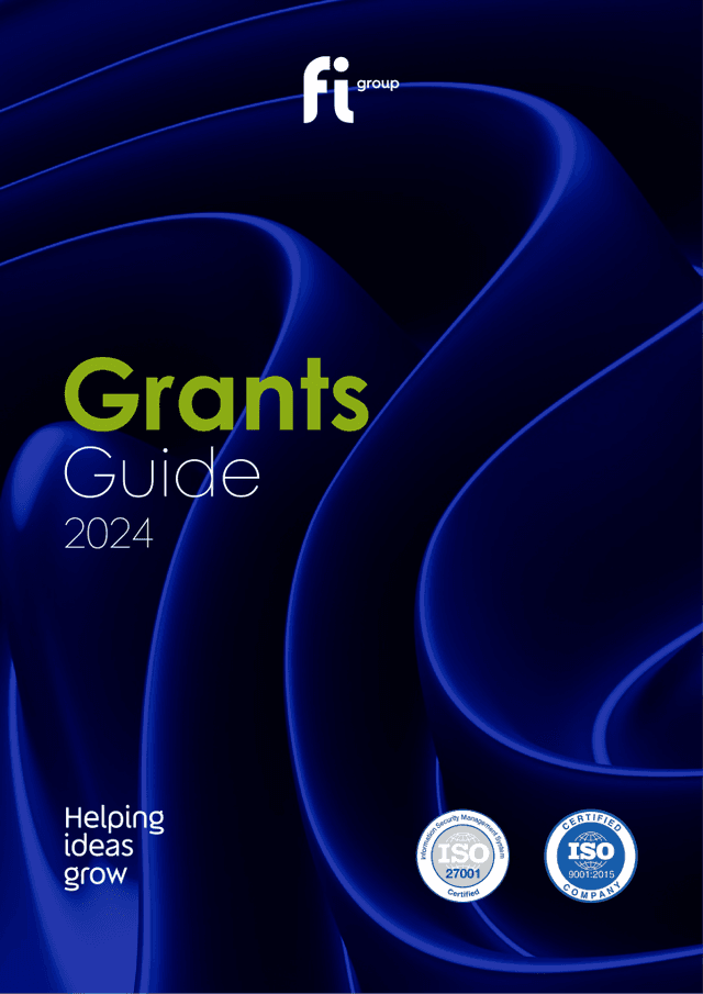 Guía International Grants 2024